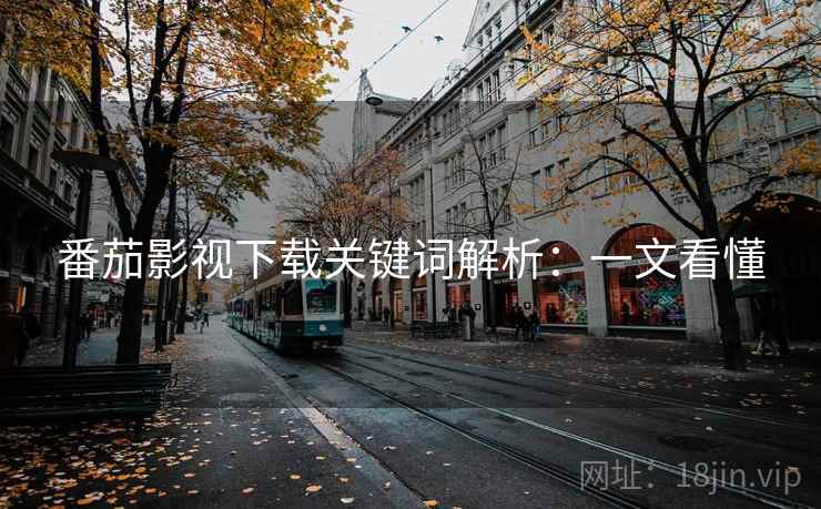 番茄影视下载关键词解析：一文看懂