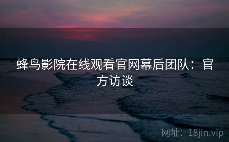 蜂鸟影院在线观看官网幕后团队：官方访谈