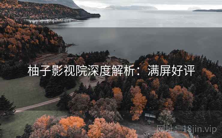 柚子影视院深度解析：满屏好评