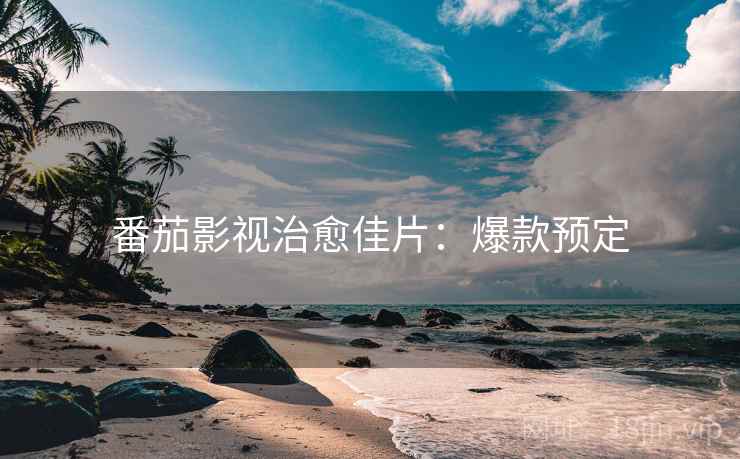 番茄影视治愈佳片：爆款预定